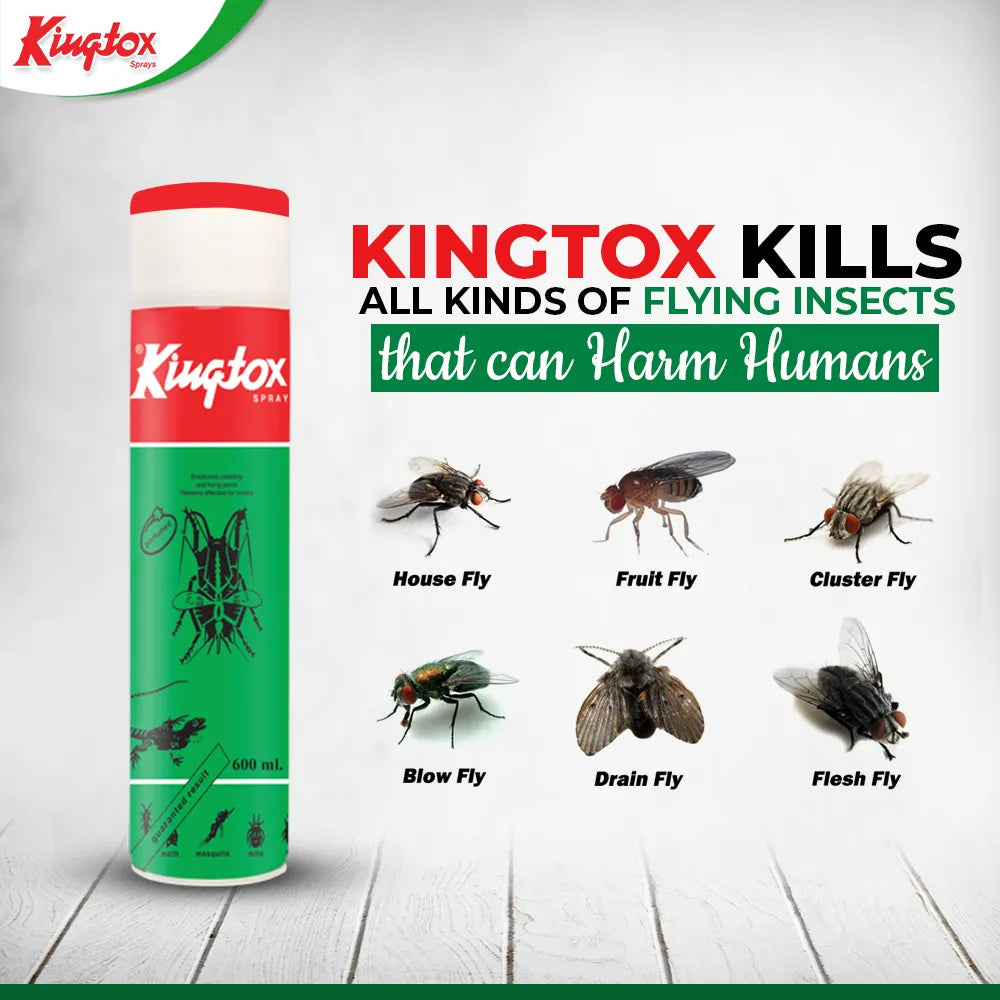 Kingtox All Insect Killer Green Spray 300 ml