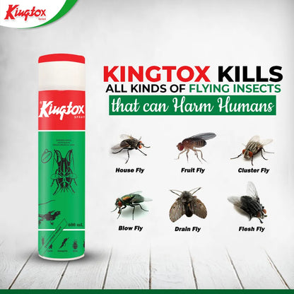 Kingtox All Insect Killer Green Spray 300 ml
