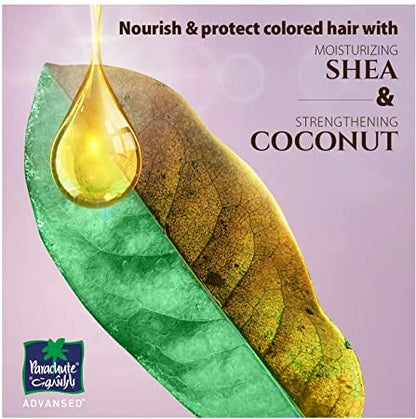Parachute Advansed Shea & Coconut Hair Oil