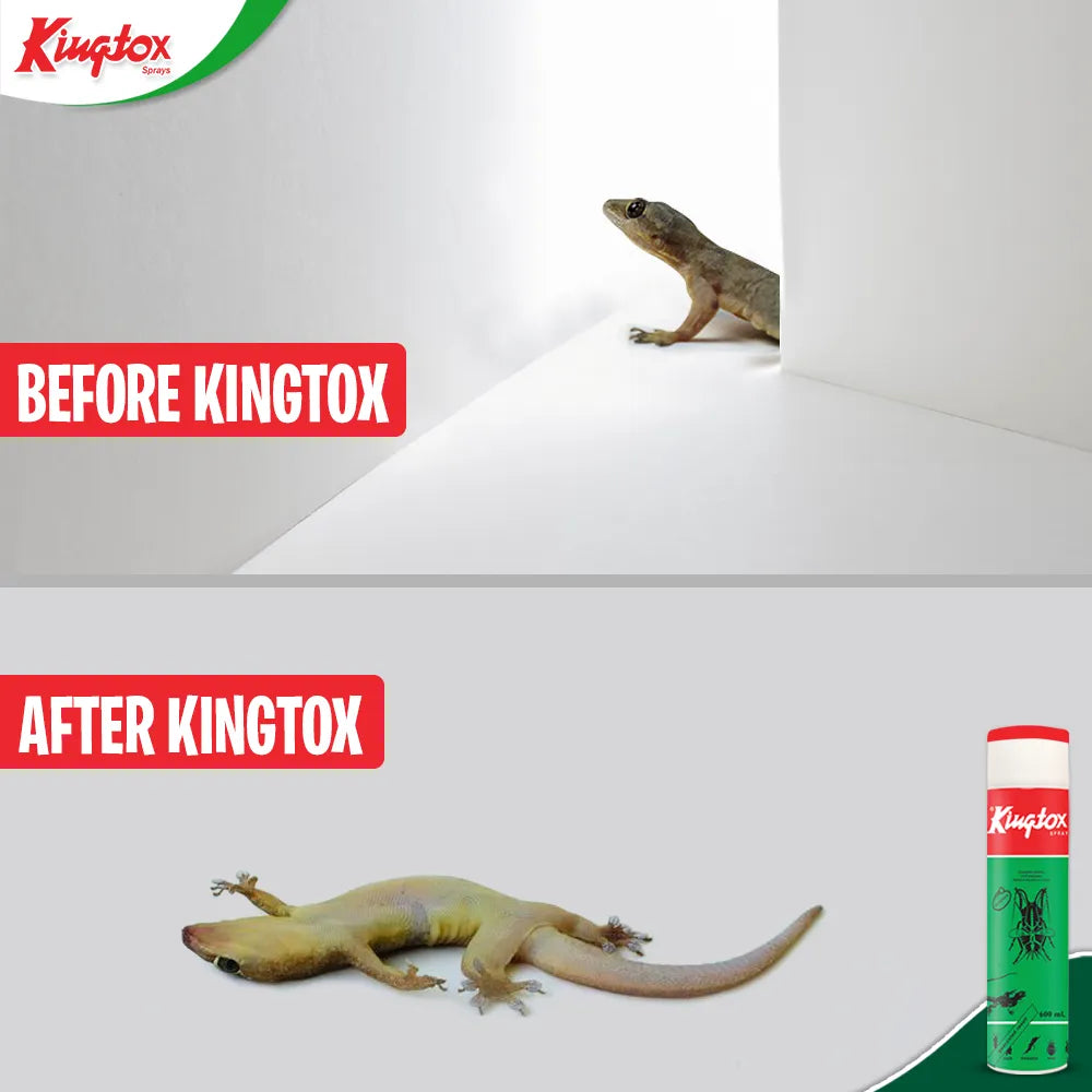 Kingtox All Insect Killer Green Spray 300 ml