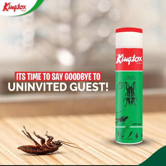 Kingtox All Insect Killer Green Spray 300 ml