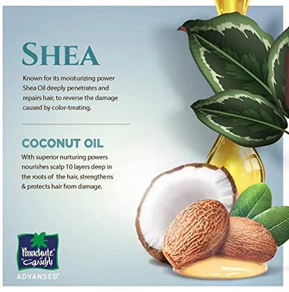 Parachute Advansed Shea & Coconut Hair Oil